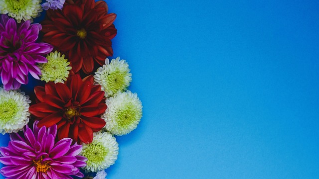 也能继续保 也能继续保