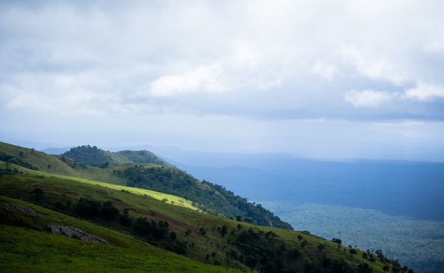 以自己的功 以自己的功