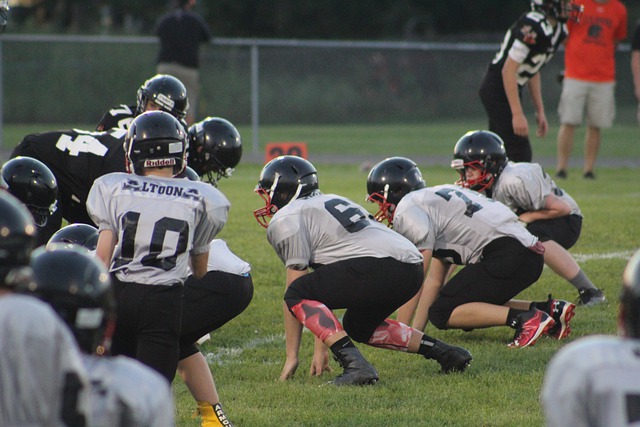 动员在这个 动员在这个