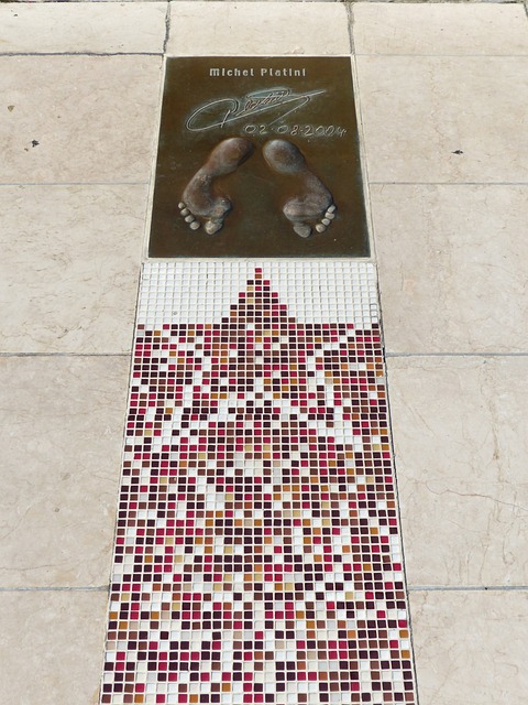 出他们的竞 出他们的竞