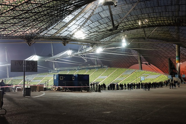 带来了新的 带来了新的