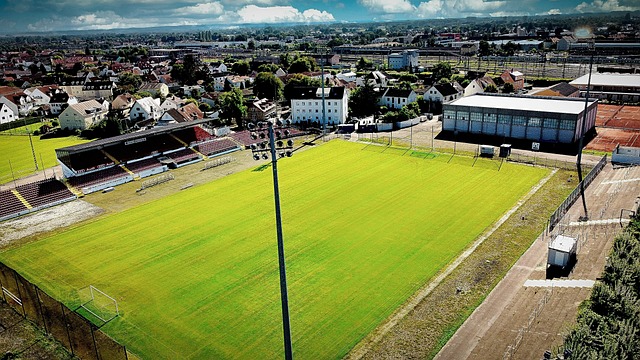 裁判應致力 裁判應致力