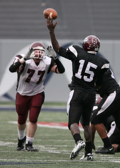 帶來了視覺 帶來了視覺